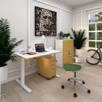 Sit Stand Desk | Single Motor | 1600w x 800d mm | Oak & White Top | White Frame | Elev8 Mono